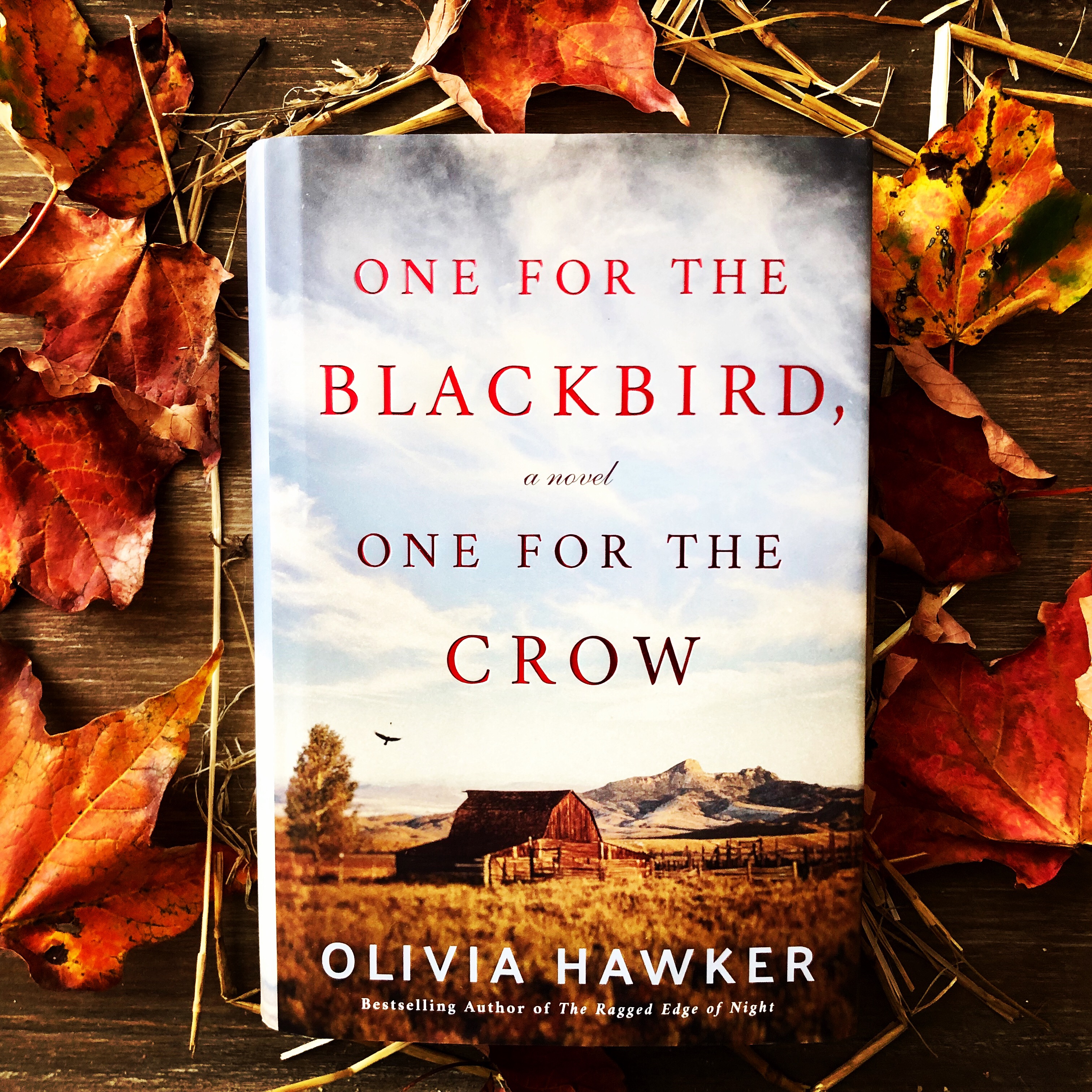 Review: One for the Blackbird, One for the Crow