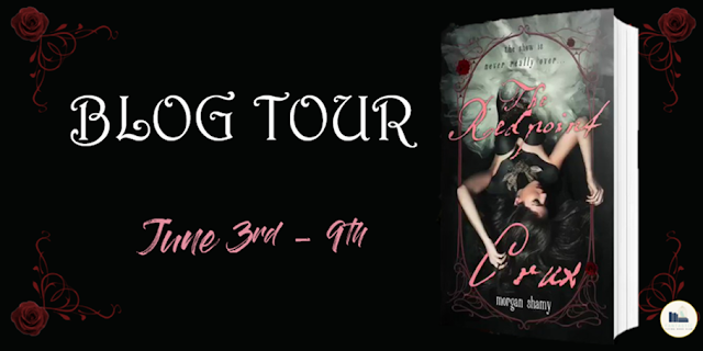 The Redpoint Crux tour banner