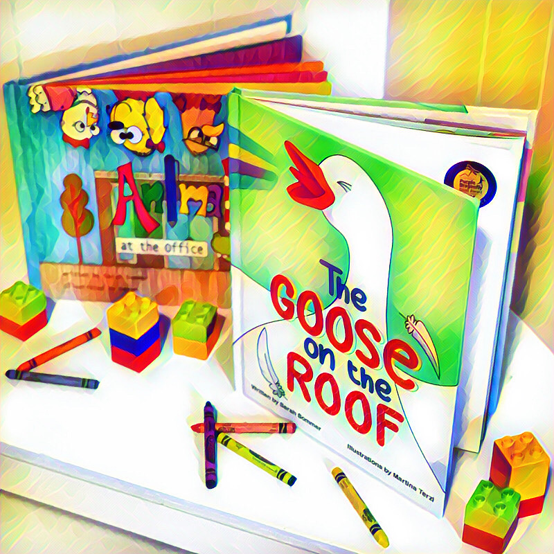 bookstagram The Goose on the Roof