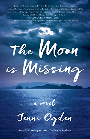 The Moon is Missing: Spotlight and Giveaway
