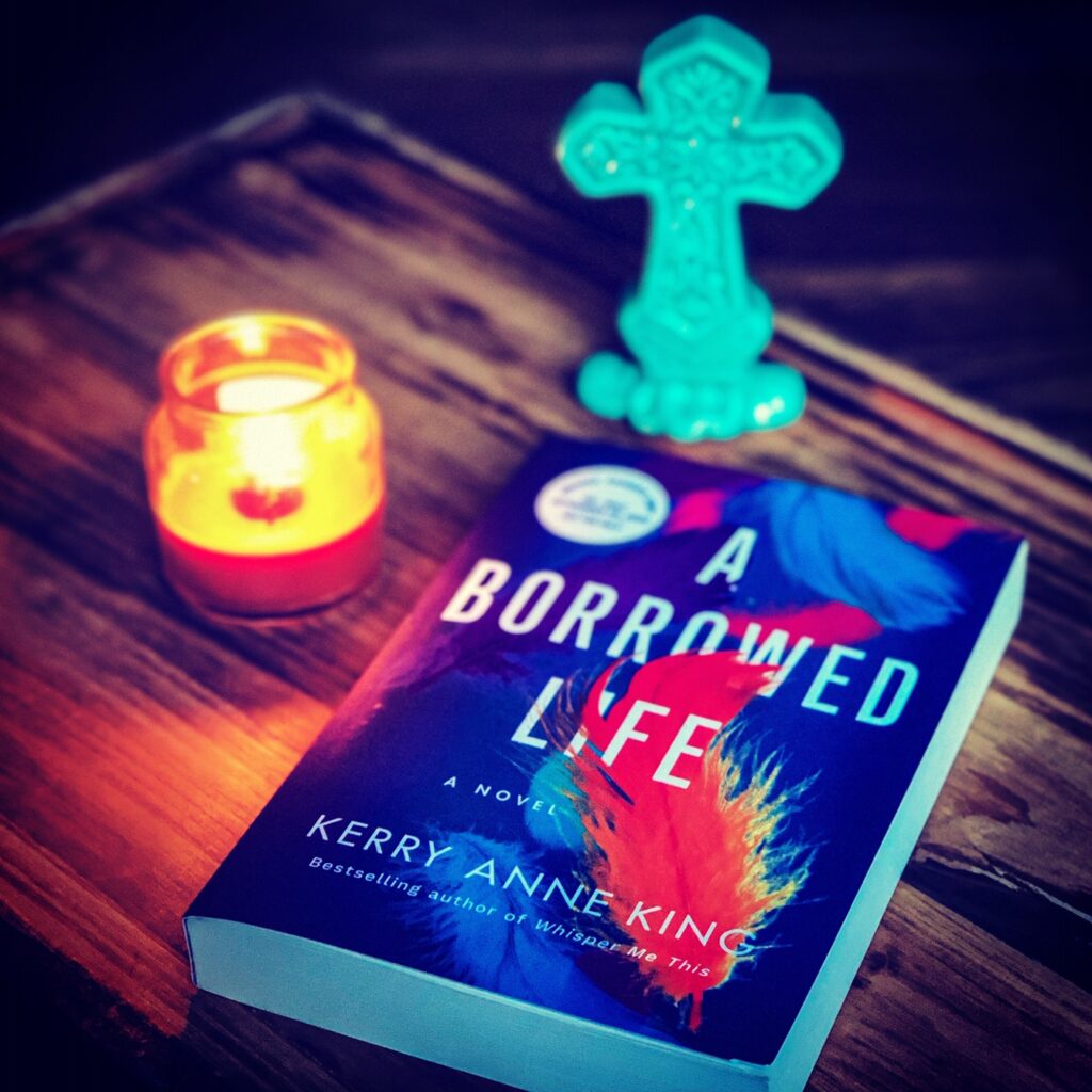A Borrowed Life book cover instagram